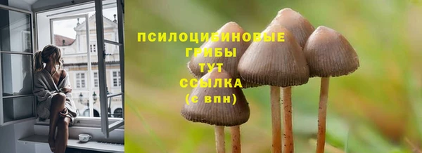 а пвп мука Белокуриха