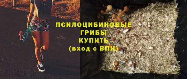 эйфоретик Магас