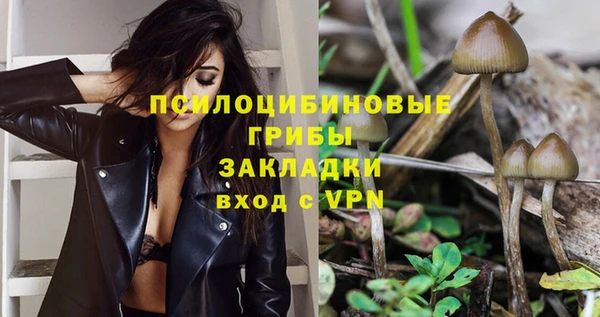 а пвп мука Белокуриха